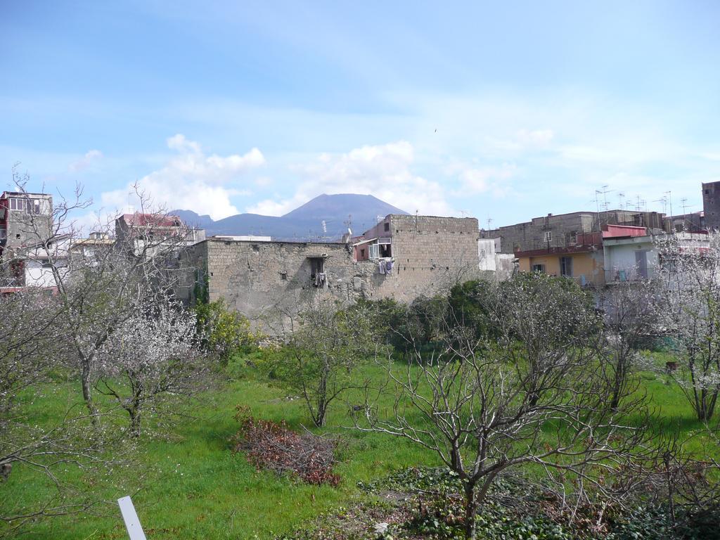 Herculis Domus Bed and Breakfast Ercolano Exterior foto