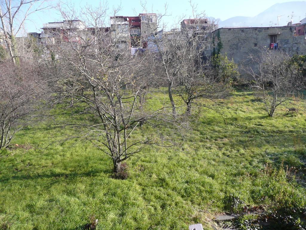 Herculis Domus Bed and Breakfast Ercolano Exterior foto